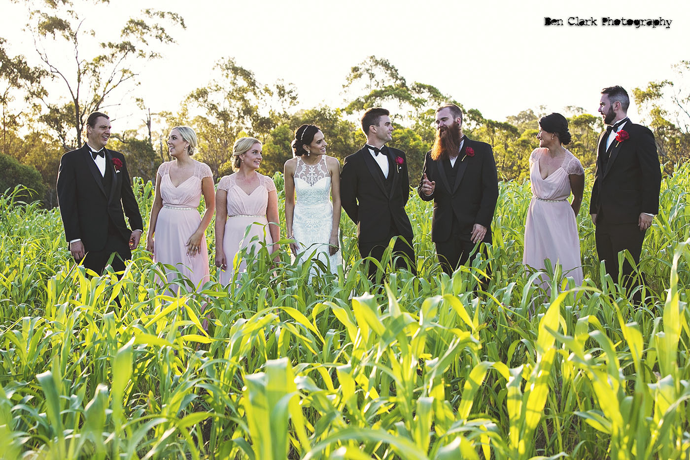 Brisbane Wedding Photographer (8)